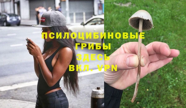 метадон Зеленодольск
