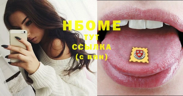 гашик Зеленокумск